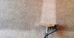 Carpet Cleaning Wantage